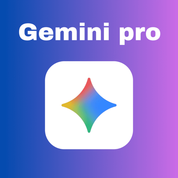 Gemini pro